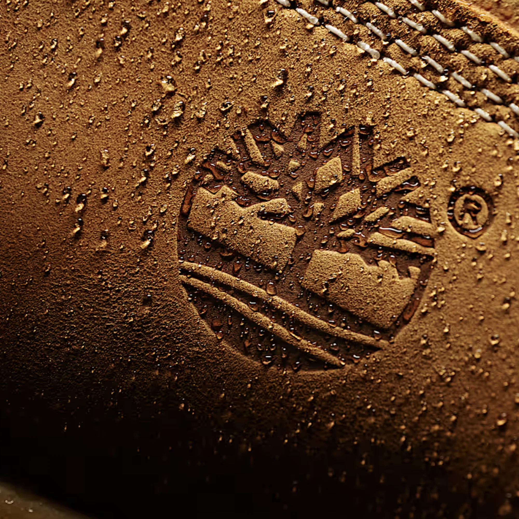 Timberland® Premium 6-Inch Waterproof Boot WHEAT TB110061-713 - Image 6